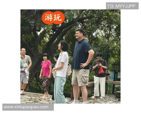 宁夏的崛起如姚明般高大挺拔展现出独特的魅力与潜力