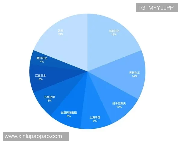 足球明星内磊的职业生涯与成就全景解析